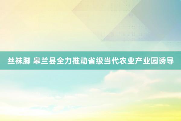 丝袜脚 皋兰县全力推动省级当代农业产业园诱导