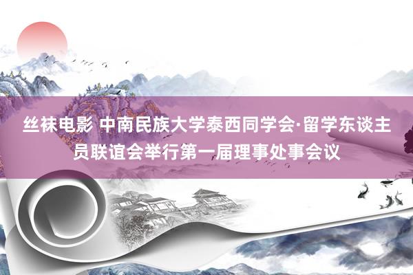 丝袜电影 中南民族大学泰西同学会·留学东谈主员联谊会举行第一届理事处事会议