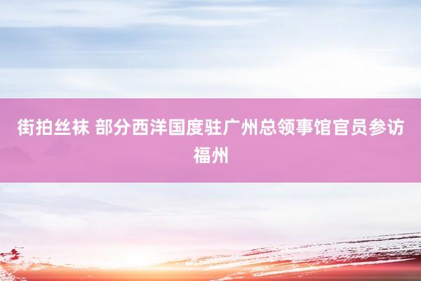 街拍丝袜 部分西洋国度驻广州总领事馆官员参访福州