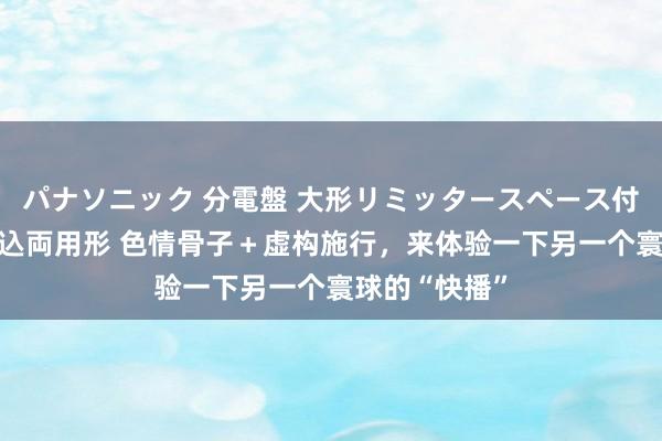 パナソニック 分電盤 大形リミッタースペース付 露出・半埋込両用形 色情骨子＋虚构施行，来体验一下另一个寰球的“快播”