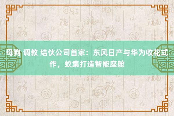 母狗 调教 结伙公司首家：东风日产与华为收花式作，蚁集打造智能座舱