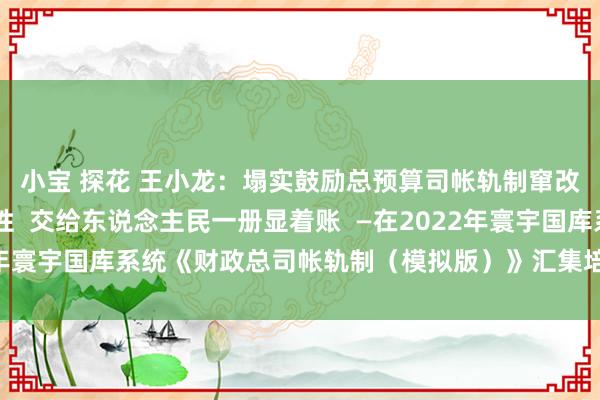 小宝 探花 王小龙：塌实鼓励总预算司帐轨制窜改 保持司帐核算中立性  交给东说念主民一册显着账  —在2022年寰宇国库系统《财政总司帐轨制（模拟版）》汇集培训班上的言语