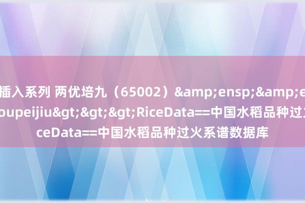 插入系列 两优培九（65002）&ensp;&ensp;Liangyoupeijiu>>>RiceData==中国水稻品种过火系谱数据库