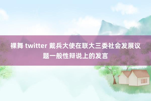 裸舞 twitter 戴兵大使在联大三委社会发展议题一般性辩说上的发言