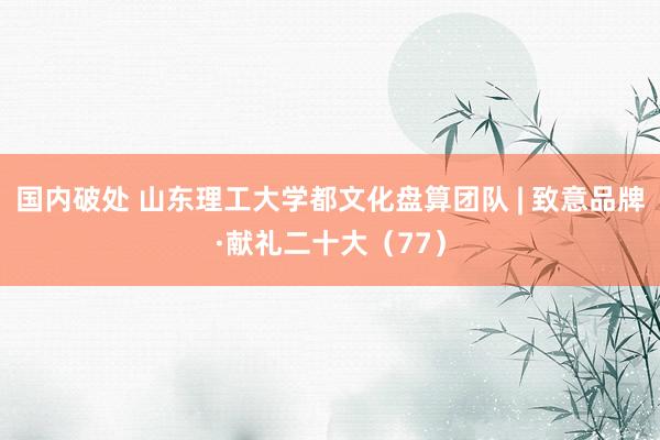 国内破处 山东理工大学都文化盘算团队 | 致意品牌·献礼二十大（77）
